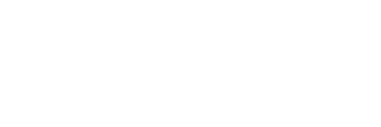 Febelfin