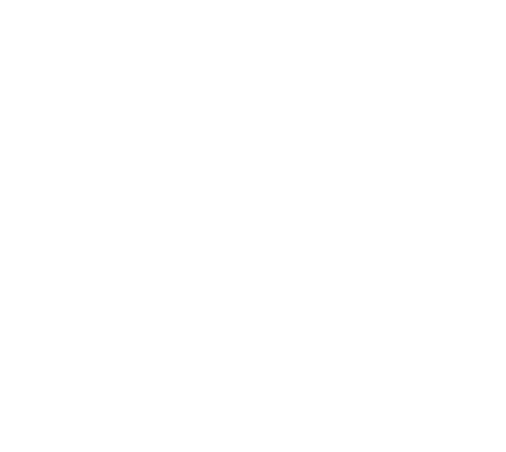 Strategies & Leaders